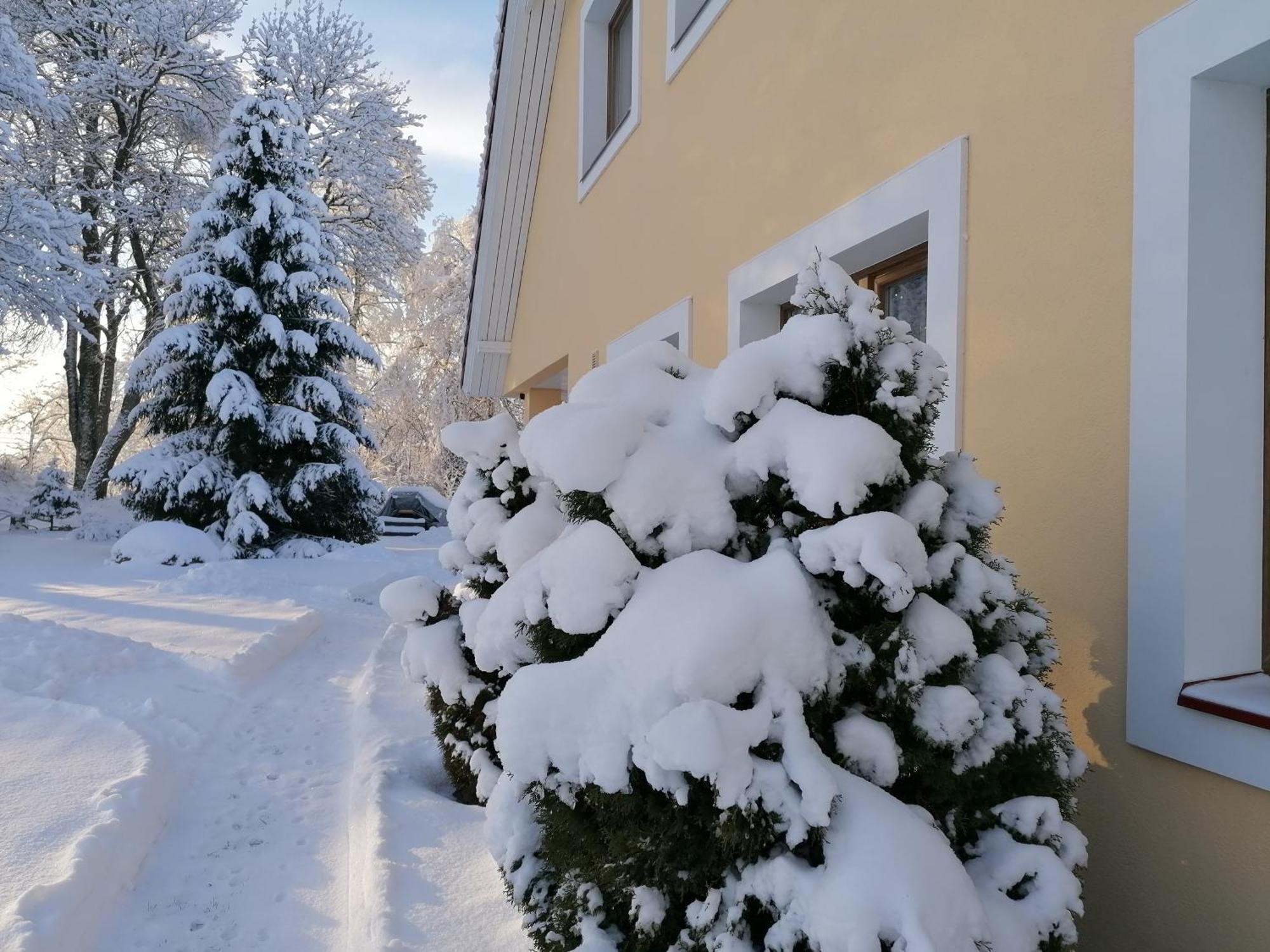 Villa River Rose Joesuu  Экстерьер фото